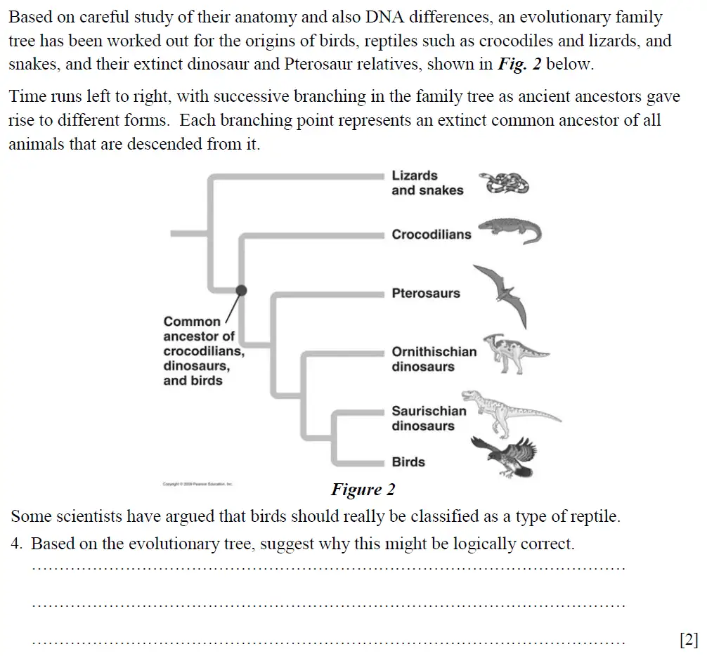 Question 4 - St Pauls School - 13 Plus Biology Scholarship Exam Paper 2015