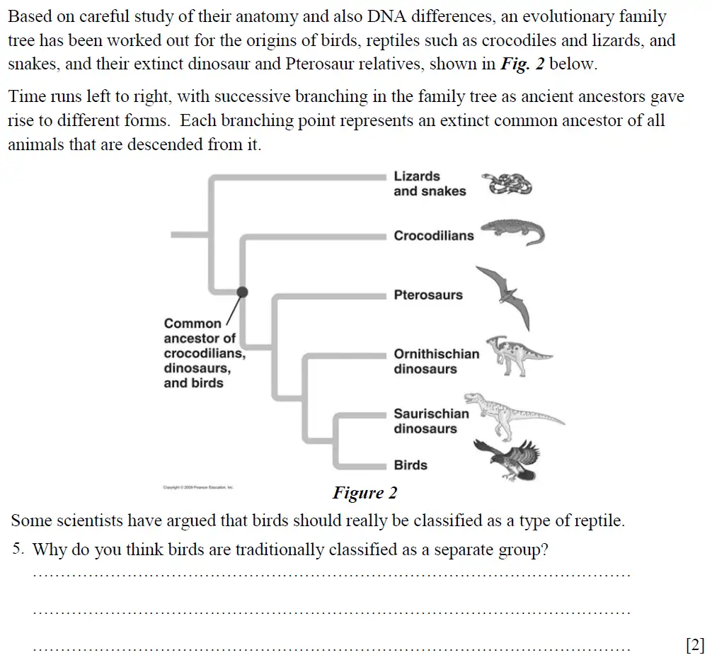 Question 5 - St Pauls School - 13 Plus Biology Scholarship Exam Paper 2015