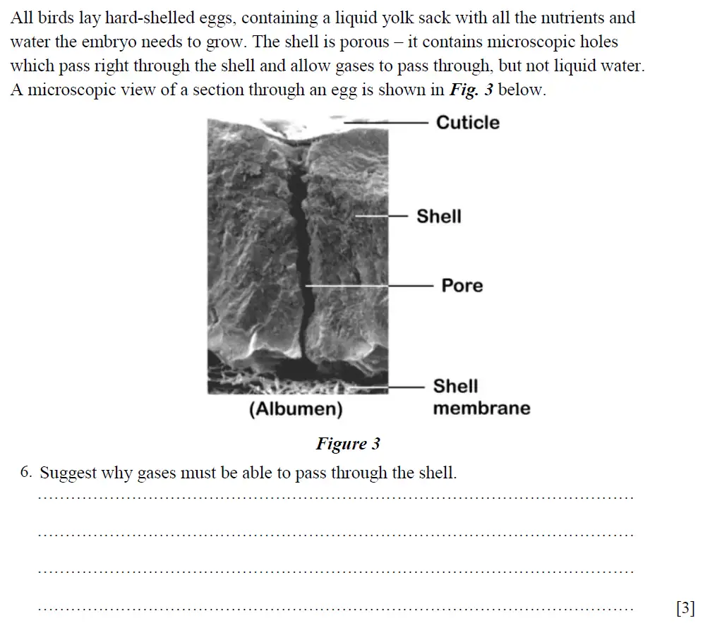 Question 6 - St Pauls School - 13 Plus Biology Scholarship Exam Paper 2015