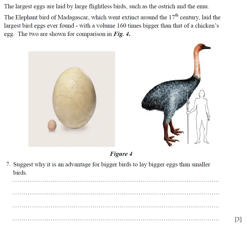 Question 7 - St Pauls School - 13 Plus Biology Scholarship Exam Paper 2015