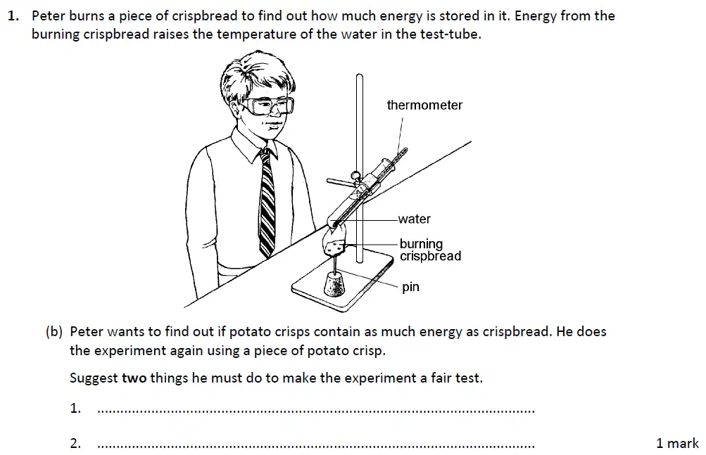 Question 2 - Warwick School - 13 Plus Biology Entrance Exam Paper