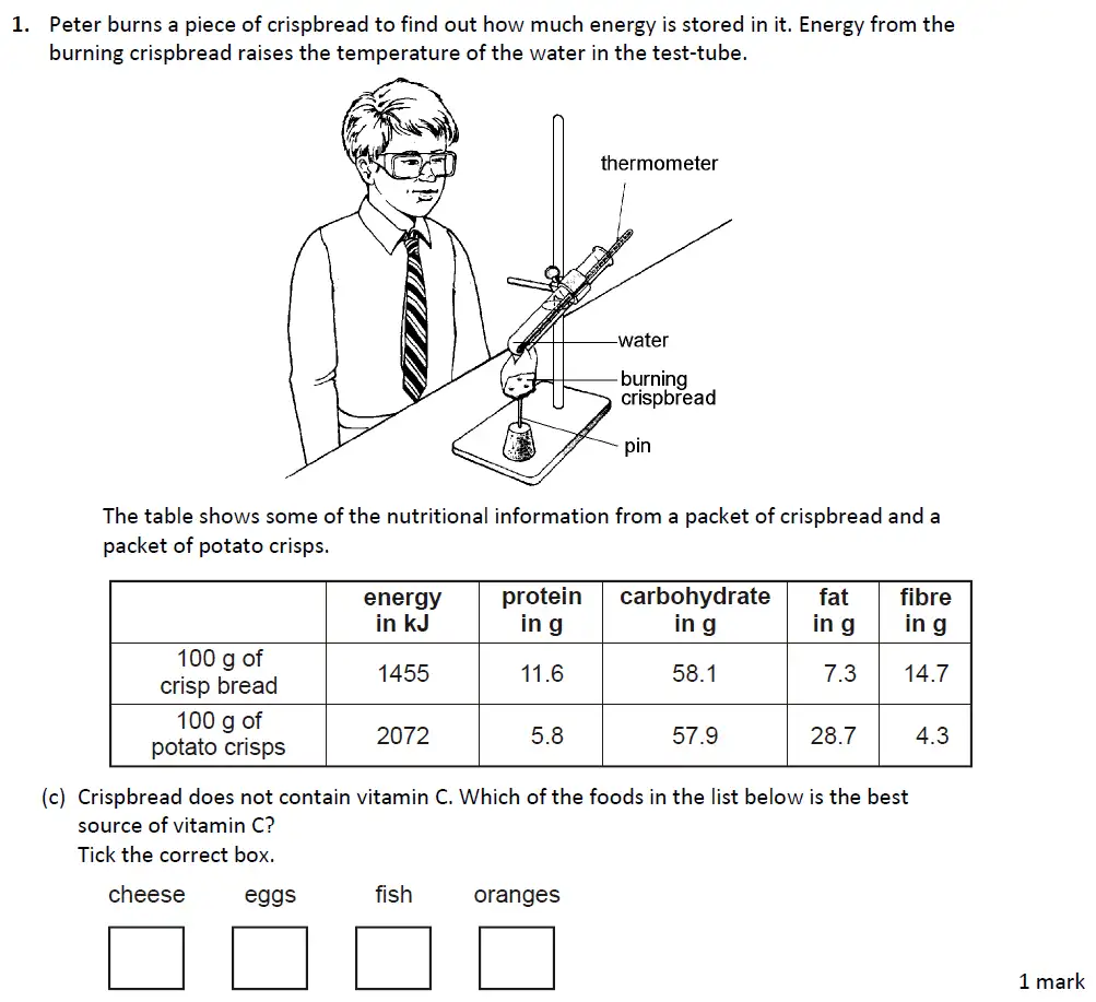 Question 3 - Warwick School - 13 Plus Biology Entrance Exam Paper