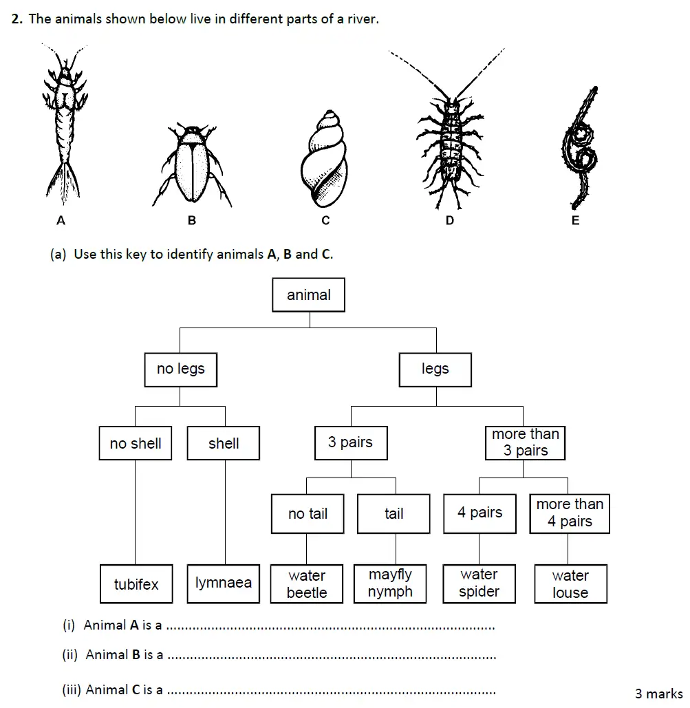 Question 6 - Warwick School - 13 Plus Biology Entrance Exam Paper