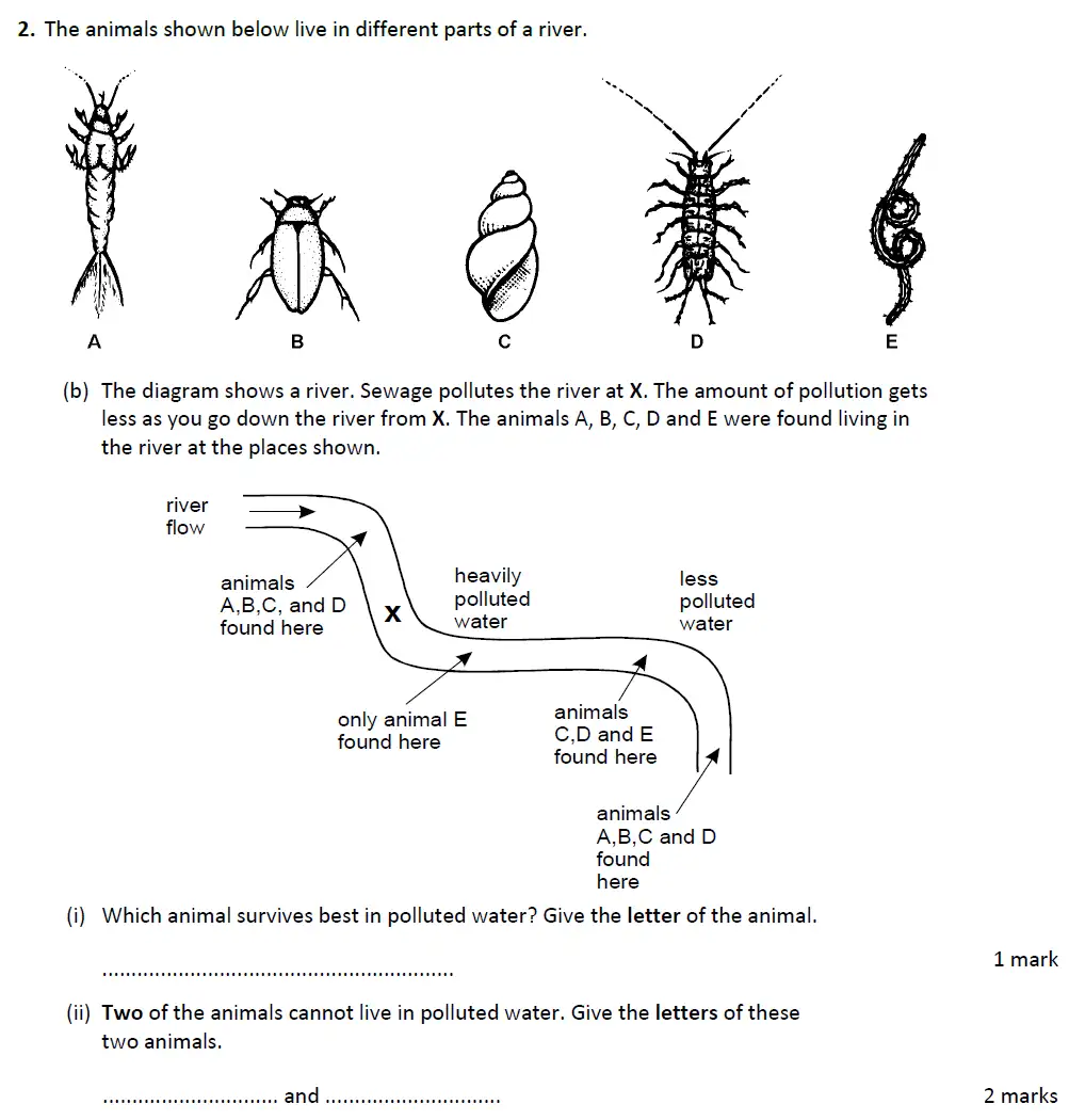 Question 7 - Warwick School - 13 Plus Biology Entrance Exam Paper