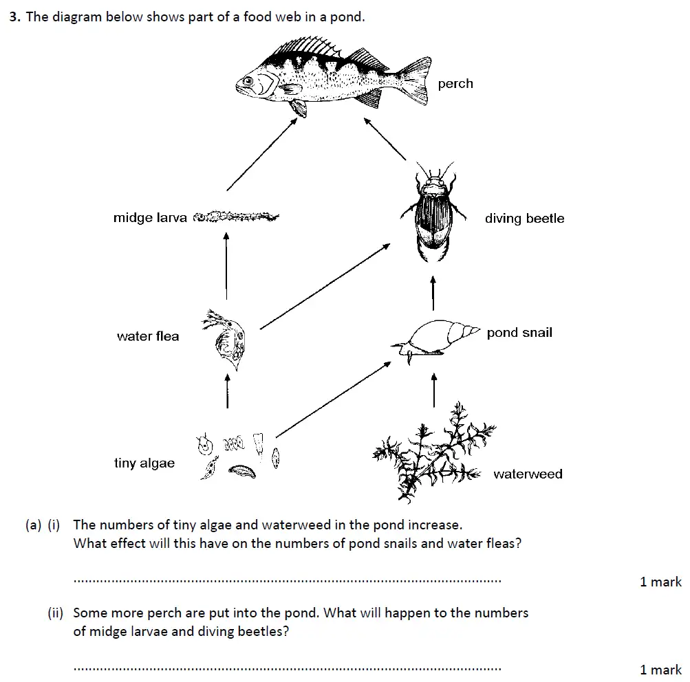 Question 8 - Warwick School - 13 Plus Biology Entrance Exam Paper