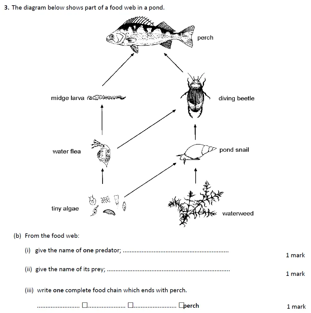 Question 9 - Warwick School - 13 Plus Biology Entrance Exam Paper