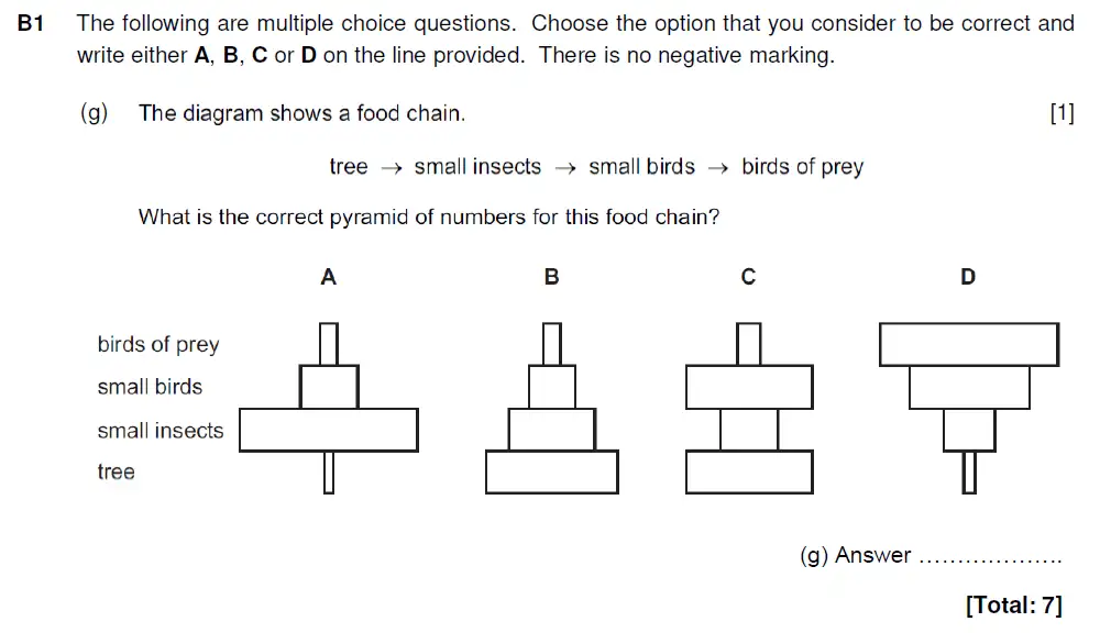 Question 7 - Westminster School - 13 Plus Biology Sample Paper 2019