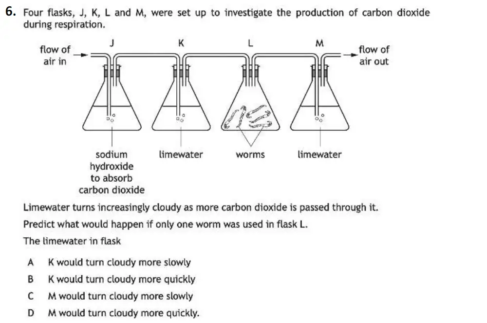 Question 6 - Westminster School - 13 Plus Biology Sample Paper 2021