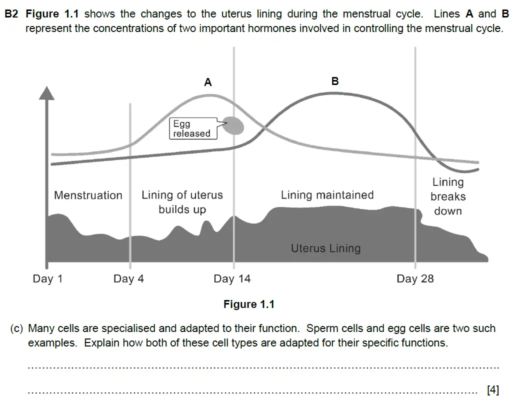 Question 4 - Westminster School - 13 Plus Biology Scholarship Exam Paper 2016