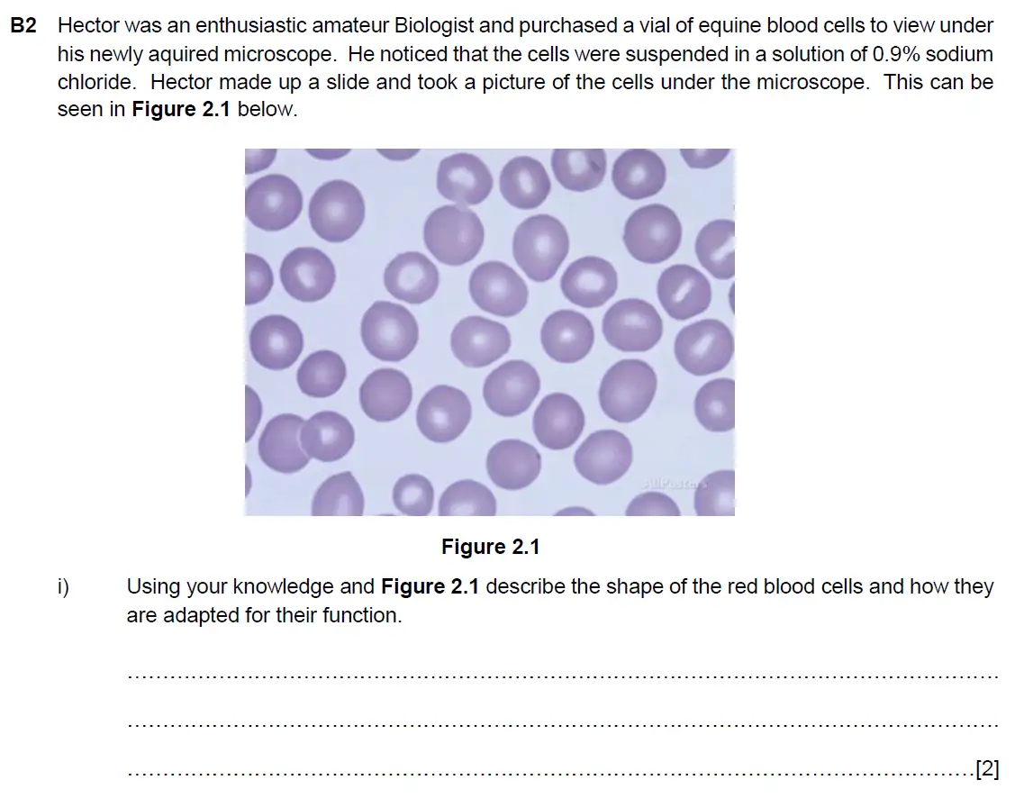 Question 7 - Westminster School - 13 Plus Biology Scholarship Exam Paper 2017