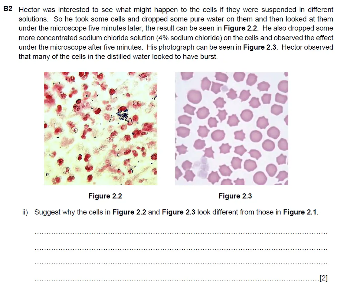 Question 8 - Westminster School - 13 Plus Biology Scholarship Exam Paper 2017