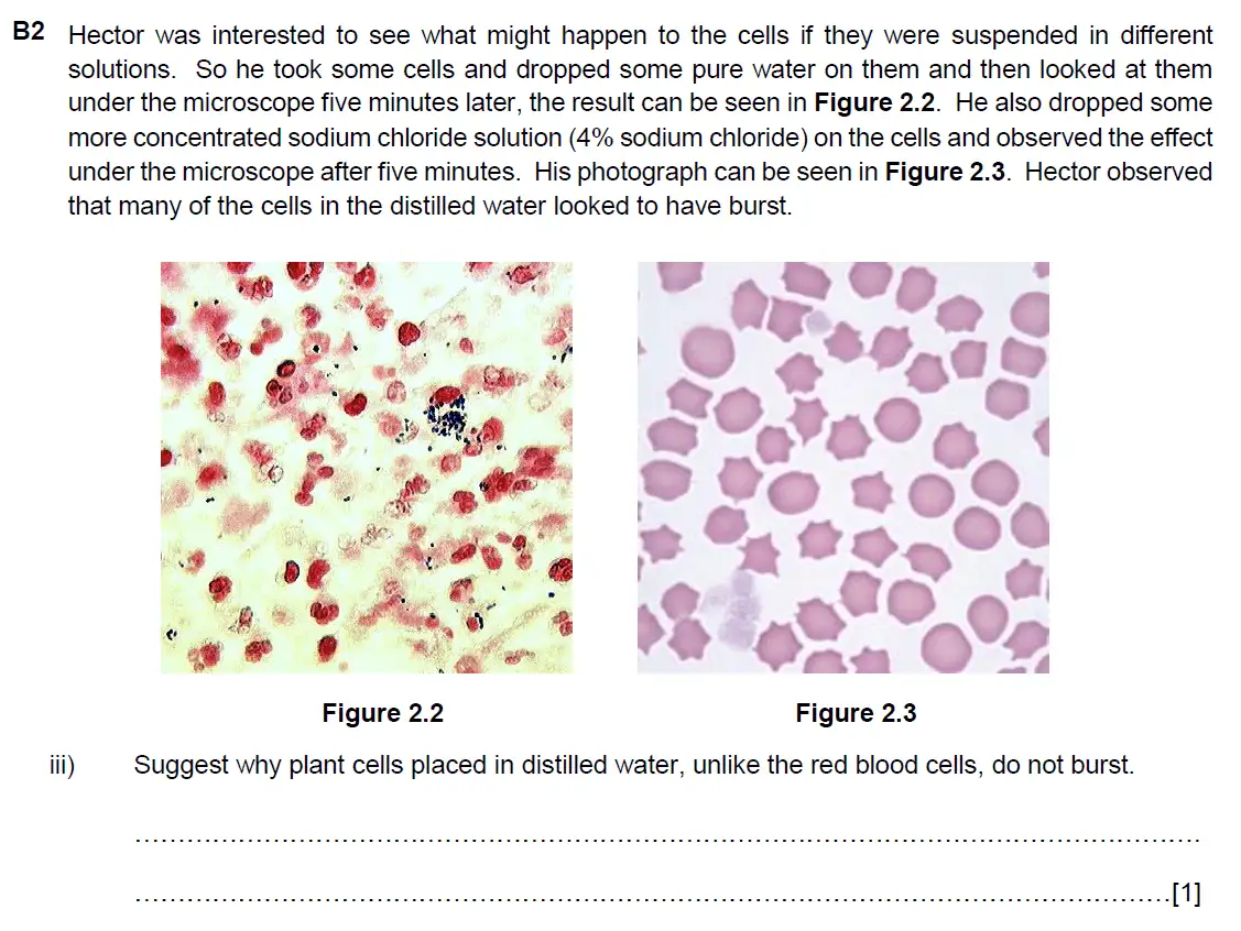 Question 9 - Westminster School - 13 Plus Biology Scholarship Exam Paper 2017