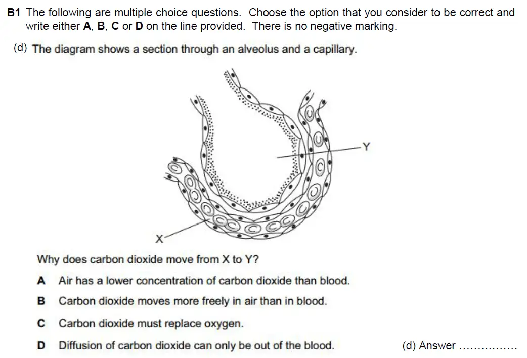 Question 4 - Westminster School - 13 Plus Biology Scholarship Exam Paper 2018