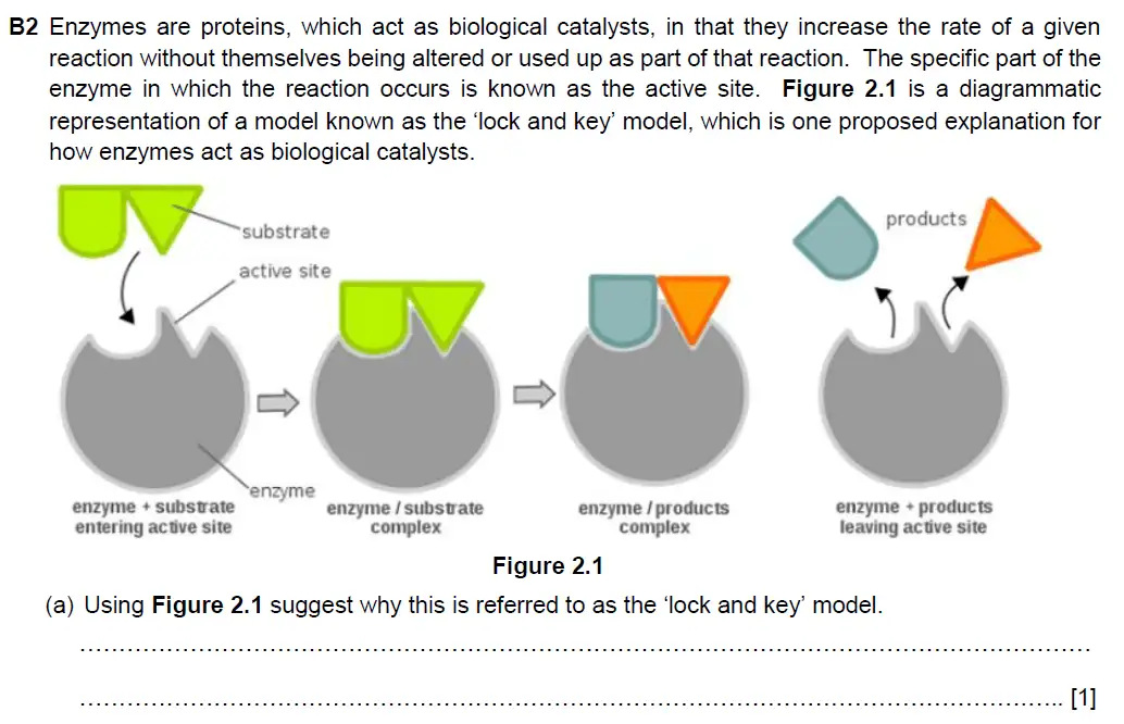Question 8 - Westminster School - 13 Plus Biology Scholarship Exam Paper 2018