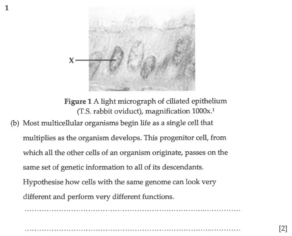 Question 2 - Winchester College - 13 Plus Biology Election Exam Paper 2016