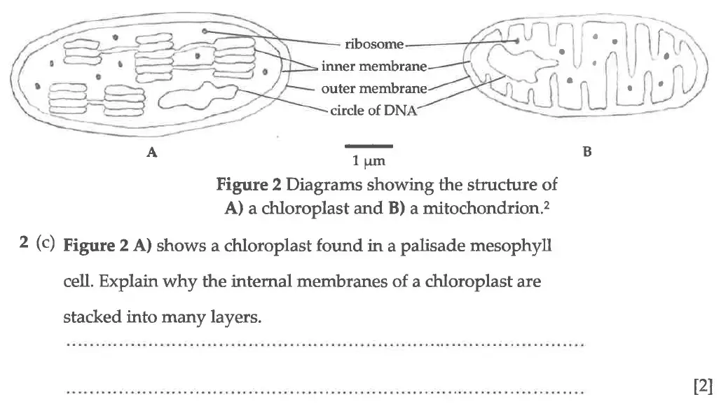 Question 5 - Winchester College - 13 Plus Biology Election Exam Paper 2016