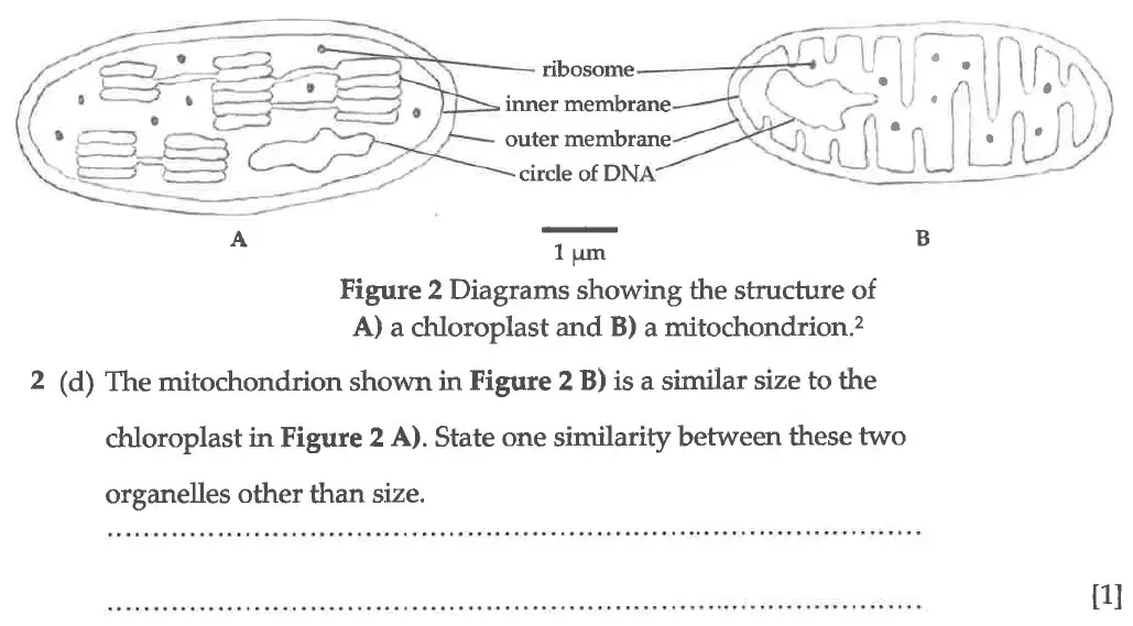 Question 6 - Winchester College - 13 Plus Biology Election Exam Paper 2016