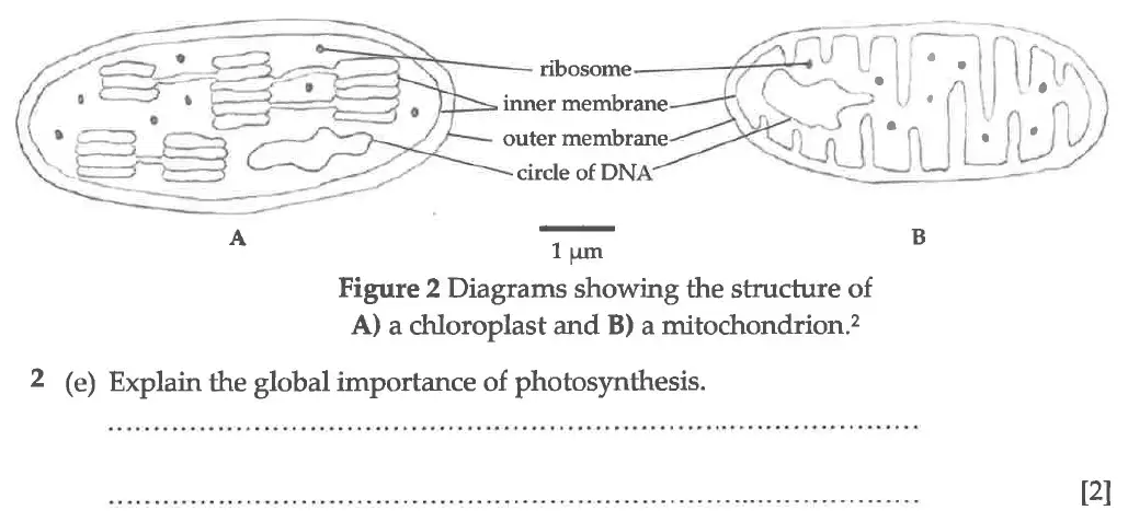 Question 7 - Winchester College - 13 Plus Biology Election Exam Paper 2016
