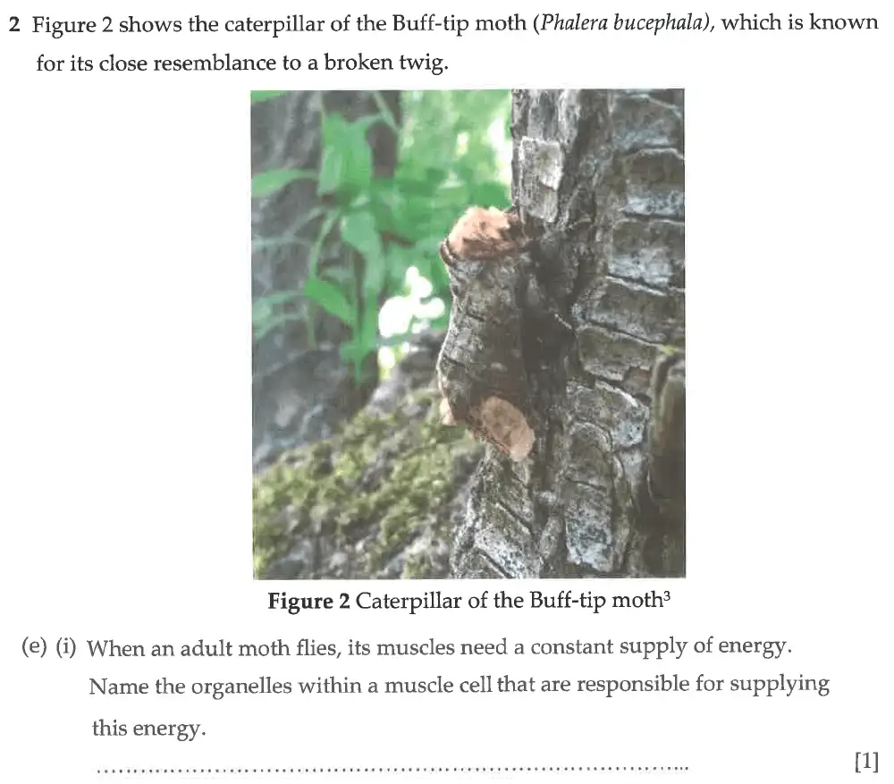 Question 10 - Winchester College - 13 Plus Biology Election Exam Paper 2017