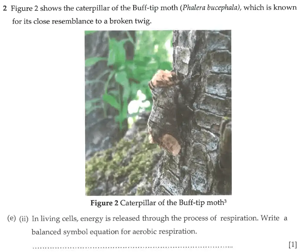 Question 11 - Winchester College - 13 Plus Biology Election Exam Paper 2017