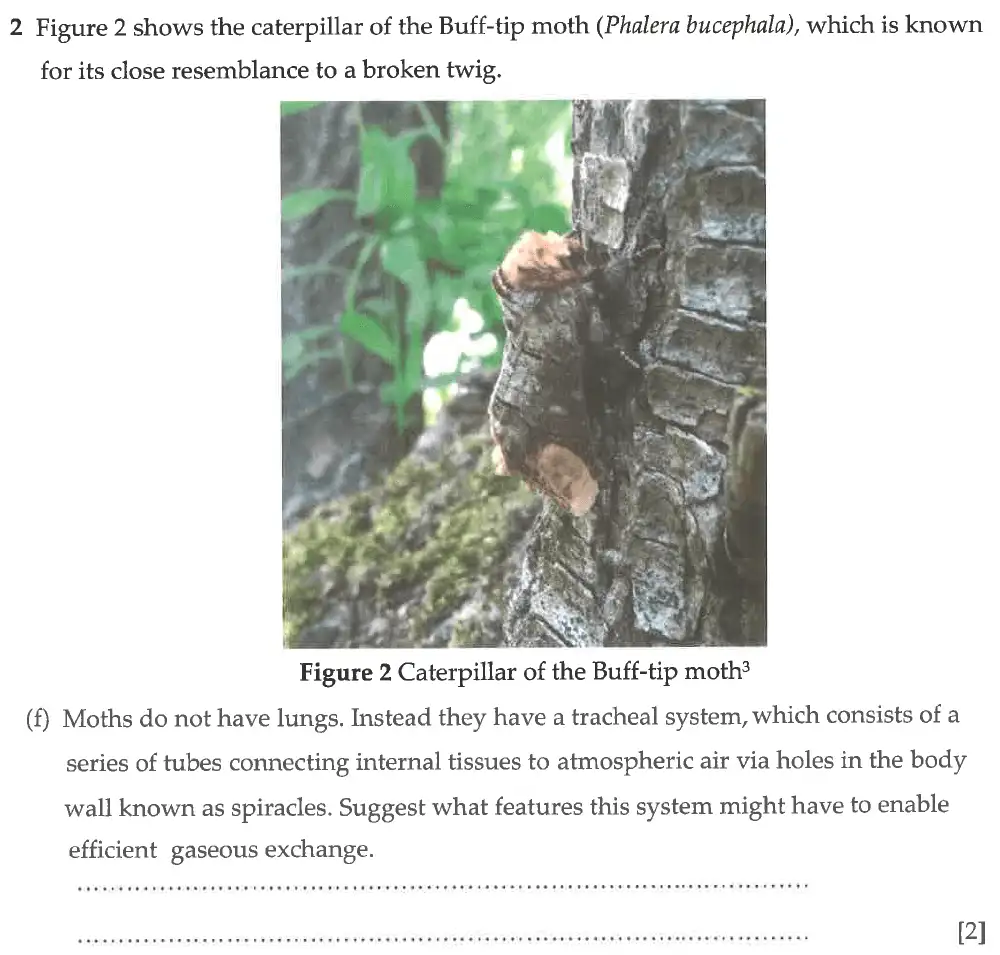 Question 12 - Winchester College - 13 Plus Biology Election Exam Paper 2017