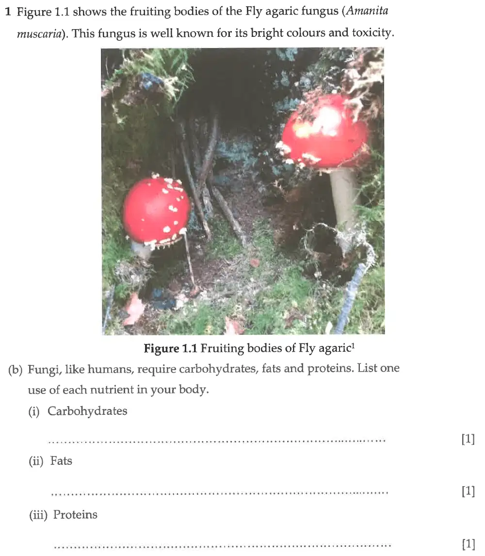 Question 2 - Winchester College - 13 Plus Biology Election Exam Paper 2017