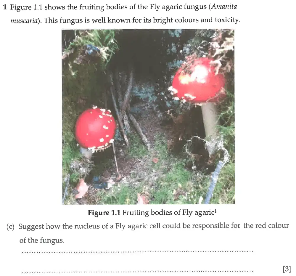 Question 3 - Winchester College - 13 Plus Biology Election Exam Paper 2017