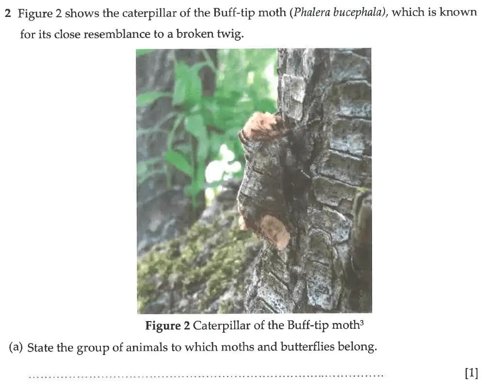 Question 6 - Winchester College - 13 Plus Biology Election Exam Paper 2017