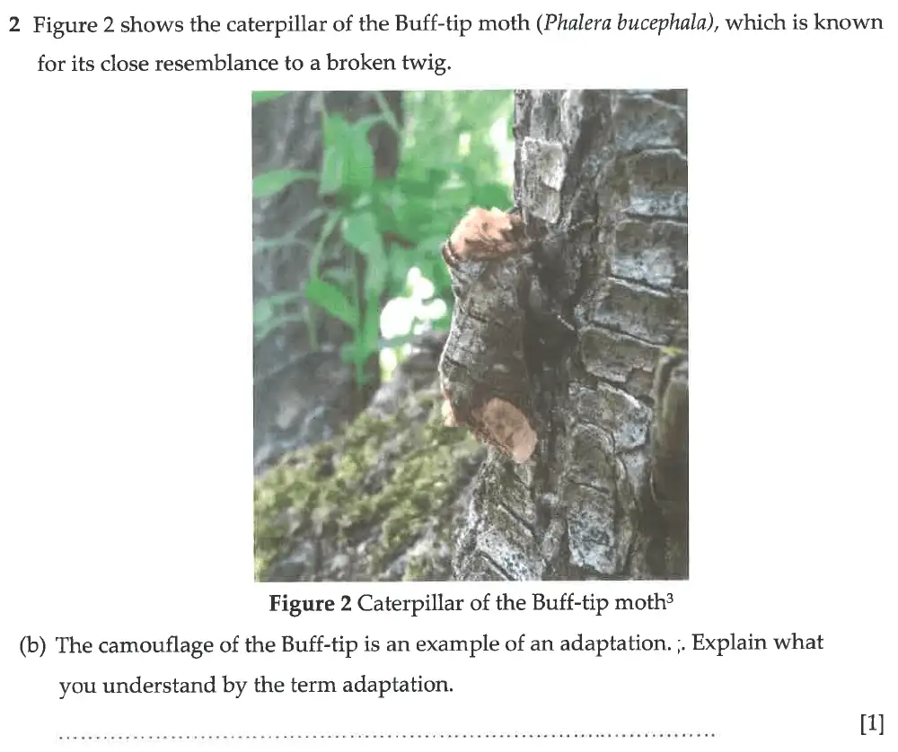 Question 7 - Winchester College - 13 Plus Biology Election Exam Paper 2017