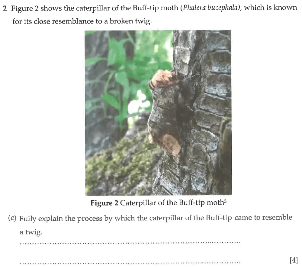 Question 8 - Winchester College - 13 Plus Biology Election Exam Paper 2017