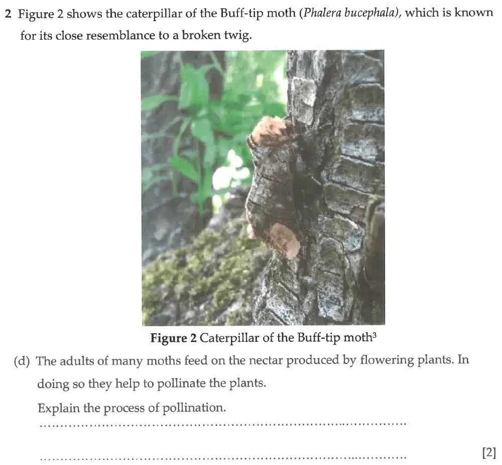Question 9 - Winchester College - 13 Plus Biology Election Exam Paper 2017