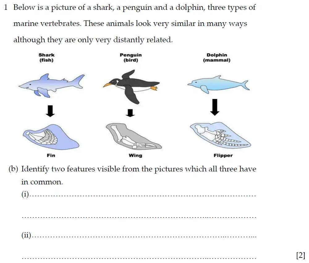 Question 2 - Winchester College - 13 Plus Biology Election Exam Paper 2019