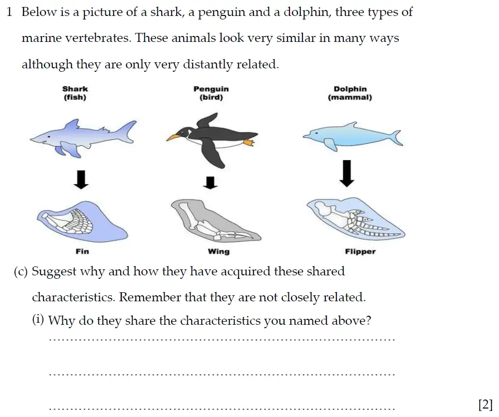 Question 3 - Winchester College - 13 Plus Biology Election Exam Paper 2019