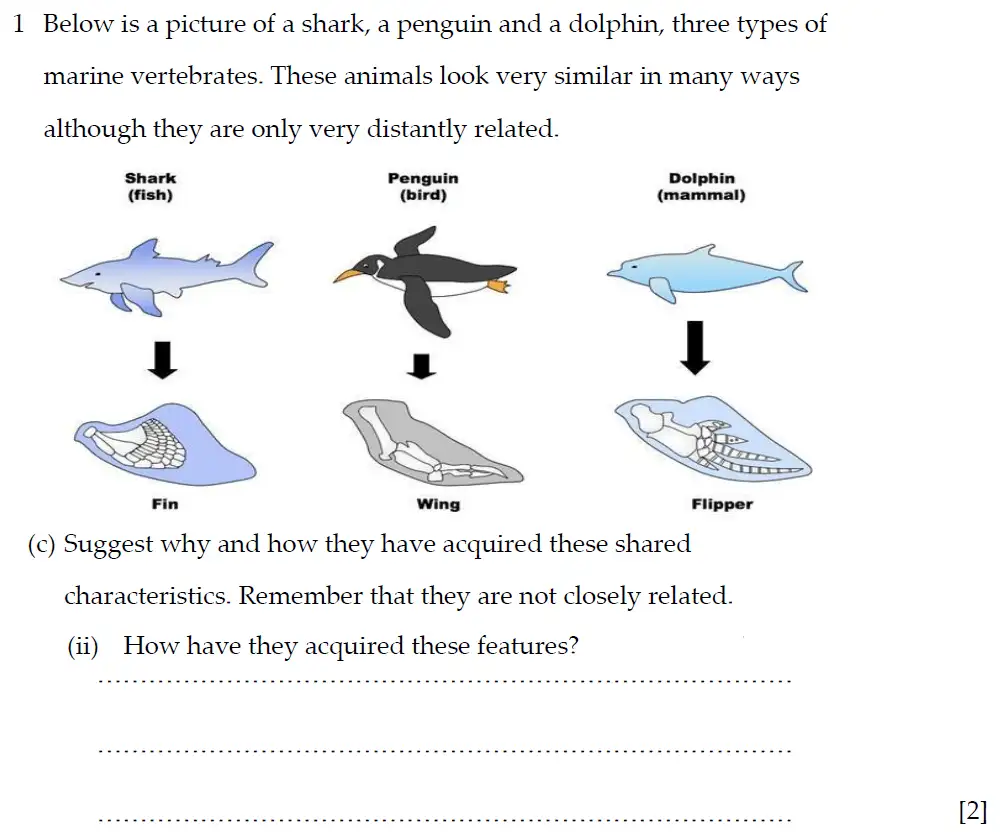 Question 4 - Winchester College - 13 Plus Biology Election Exam Paper 2019