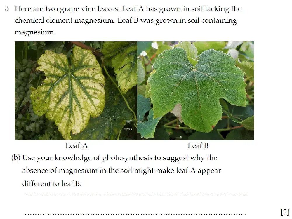 Question 7 - Winchester College - 13 Plus Biology Election Exam Paper 2019