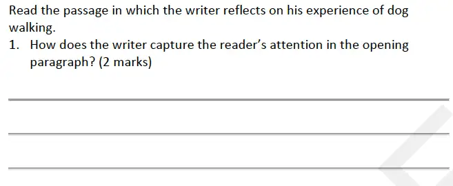 Question 01 - Forest School – 13 Plus English Sample Paper 2