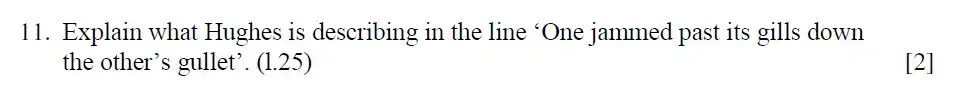 Question 15 - Eton College - 13 Plus English Scholarship Exam 2015