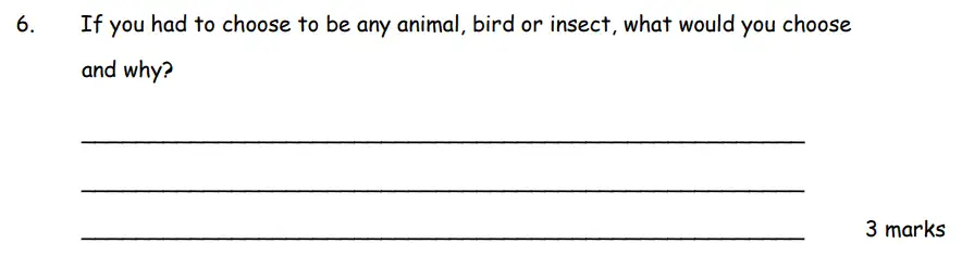 Question 06 - Haberdashers’ Aske’s Boys’ School (HABS) – 7 Plus English