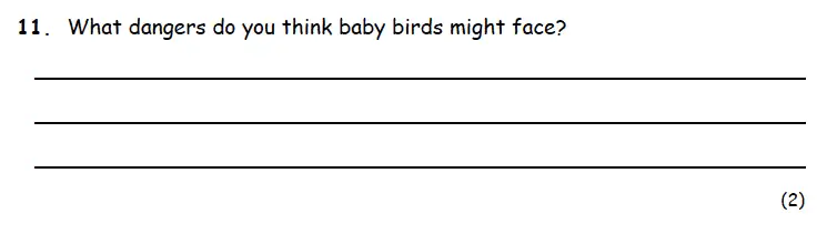 Question 11 - Highgate School – 7 Plus English Practice Paper