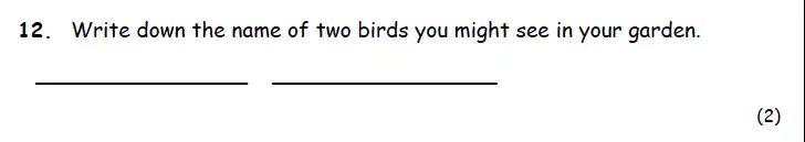 Question 12 - Highgate School – 7 Plus English Practice Paper