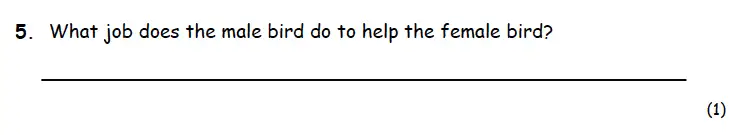 Question 05 - Highgate School – 7 Plus English Practice Paper