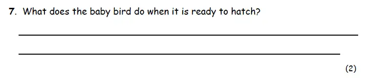 Question 07 - Highgate School – 7 Plus English Practice Paper