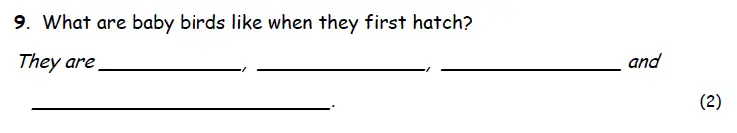 Question 09 - Highgate School – 7 Plus English Practice Paper
