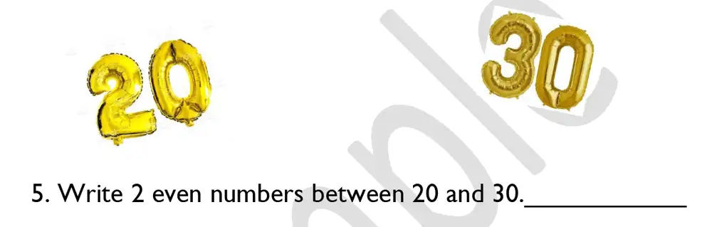 Question 05 - North London Collegiate School – 7 Plus Maths Sample Paper 2019