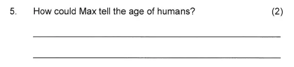 Question 05 - Solihull School – 7 Plus English Sample Paper 1