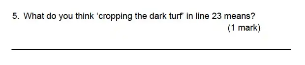 Question School - Alleyn’s School – 9 Plus English Sample Paper 1 Comprehension