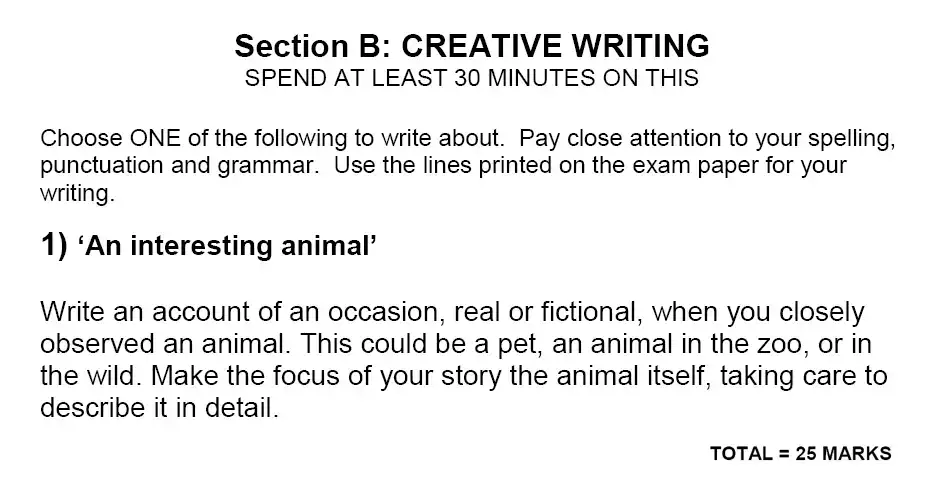 Writing task School - Emanuel School – 10 Plus English Entrance Exam 2010