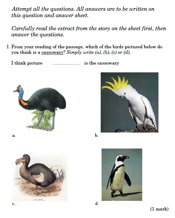 Question College - Magdalen College School – 9 Plus English Entrance Exam Paper