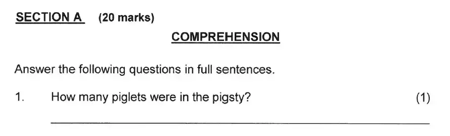 Question School - Solihull School – 8 Plus English Sample Paper 1