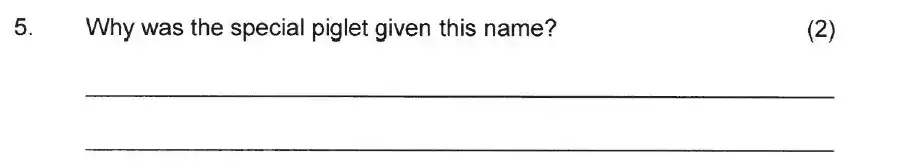 Question School - Solihull School – 8 Plus English Sample Paper 1